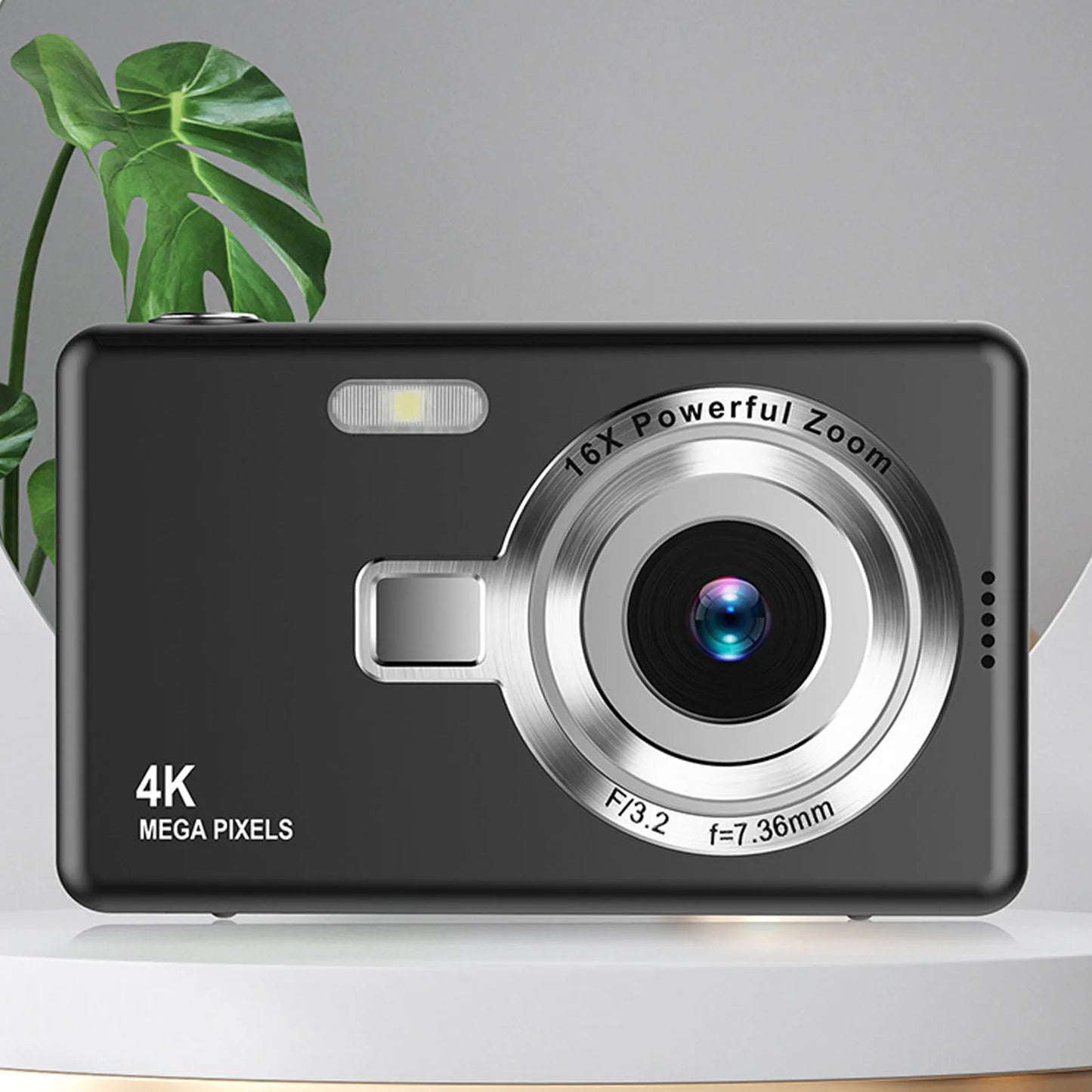 Portable Digital Camera